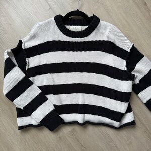 DISSH cotton & wool stripe sweater